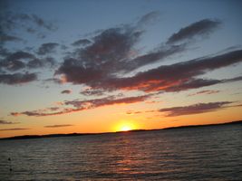 Leider konnte das Bild nicht geladen werden.