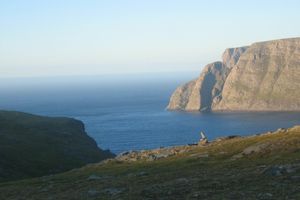 Leider konnte das Bild nicht geladen werden.