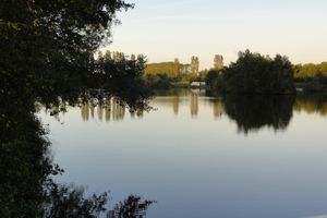 Leider konnte das Bild nicht geladen werden.